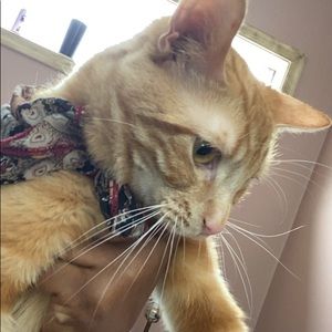 Meet your Posher, Eric